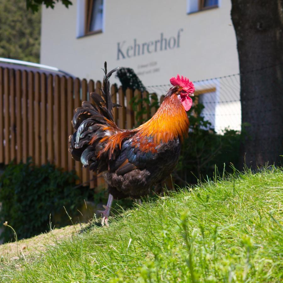 Hotel Kehrerhof à Ellbögen Extérieur photo